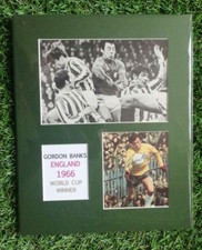 England 1966 cup for sale  CREWE