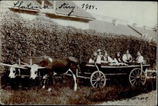 IMR02754 Romênia olt slatina carrinho de boi família fantasia folclórica tradicional ca 1904 comprar usado  Enviando para Brazil