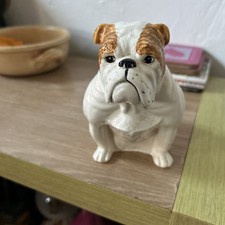 Royal doulton bulldogs for sale  TONBRIDGE