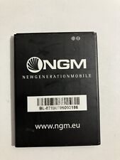 Batteria originale ngm usato  Italia