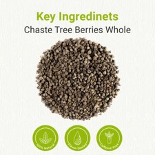 Natural chaste tree for sale  USA