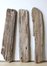 Treibholz schwemmholz driftwoo gebraucht kaufen  Halblech