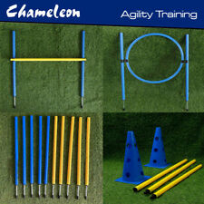 Dog agility training for sale  Shipping to Ireland