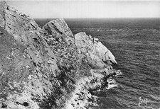 Pointe raz tete d'occasion  France