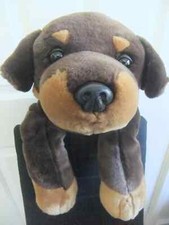Large keel rottweiler for sale  LEICESTER