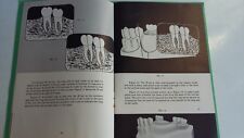 Vintage Dentist Dental Booklet 1940's Advertising Teeth    comprar usado  Enviando para Brazil