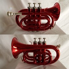 Etoile tromba pocket usato  Penne