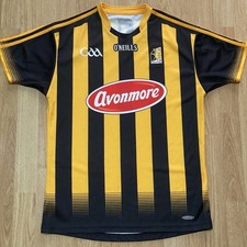Kilkenny gaa hurling for sale  CRAIGAVON