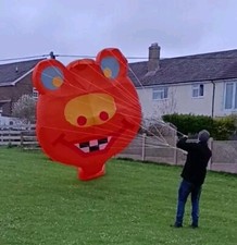 Giant kite humpy for sale  DORCHESTER