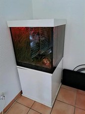 Aquarium pumpen gebraucht kaufen  Templin