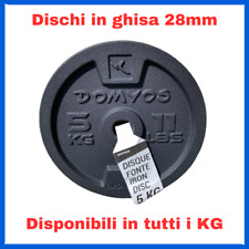 Disco dischi ghisa usato  Urbisaglia