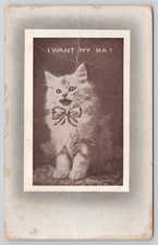 Postcard kitten want for sale  Bourbonnais