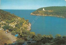 Cartolina vieste gargano usato  Milano