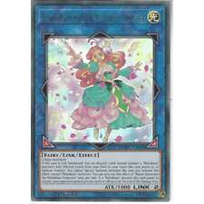 Duov en020 bloom for sale  UK