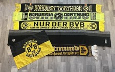 Bvb borussia dortmund gebraucht kaufen  Zülpich