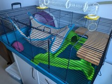 Large hamster cage for sale  IPSWICH