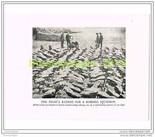 One nights ration for sale One nights ration for sale  BOURNEMOUTH