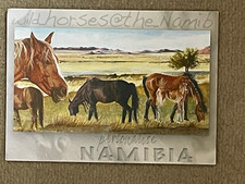 Pferde postkarte namibia gebraucht kaufen  Ratingen