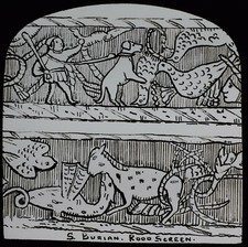 Magic lantern slide for sale  HAYLE