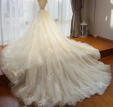 Detachable bridal train for sale  Davis