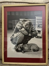 Soldier puppy dog for sale  Danville
