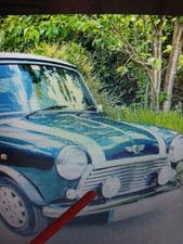 Classic rover mini for sale  NEWARK