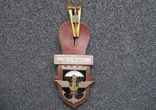Ancien insigne parachutiste d'occasion  Bosmie-l'Aiguille
