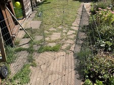 Omlet eglu cube for sale  SWADLINCOTE