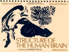 Structure the human d'occasion  Expédié en France