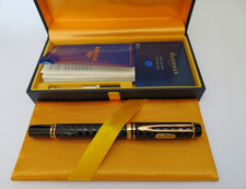 Waterman man 100 gebraucht kaufen  Frankfurt am Main