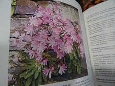 1980 cuir superbe d'occasion 1980 cuir superbe d'occasion  Saint-Cyprien