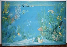 Quadro tela acquario usato  Forte dei Marmi