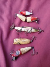 freshwater fish wanted for sale freshwater fish wanted for sale Camano Island