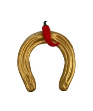 Ferro cavallo portafortuna usato  Massa di Somma