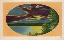 Postcard beautiful view for sale  Las Vegas