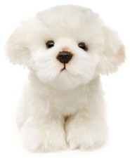 Maltais hauteur chien d'occasion  Lyon I