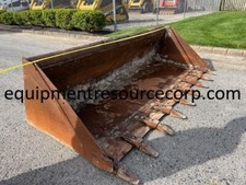 Used bobcat tooth for sale  Bordentown