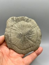 4.75 perfect round for sale  Sparta