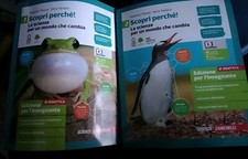 Tibone tarasco scopri usato  Caivano