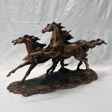 Running wild horses for sale  Edgewater