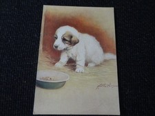 Artist signed pyrenean for sale  ANSTRUTHER
