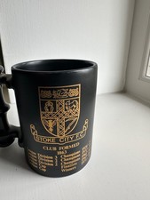 Stoke city portmeirion for sale  CIRENCESTER