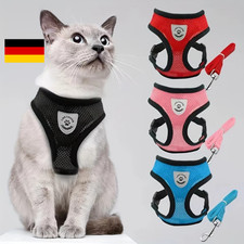 katzengeschirr leder gebraucht kaufen  Fehrb.,-Winzeln