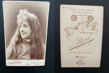 Van bosch paris d'occasion  Pagny-sur-Moselle