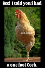 F78 one foot for sale  Mamou