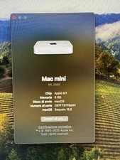 8 m1 256 mini mac usato  Fagnano Olona