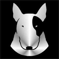 bull terrier miniature usato bull terrier miniature usato Massa di Somma