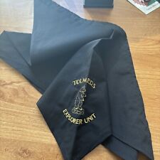 Scout scarf. tolmers for sale  BEDFORD