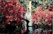 Postcard garden scene d'occasion  Expédié en Belgium