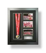 Liverpool premier league for sale  GATESHEAD